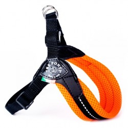 Tre Ponti Classico | Harnais pour petit chien et chat avec sangle réglable | Orange Fluo