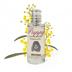 Puppy Mimosa| Parfum pour chien | La touche positive