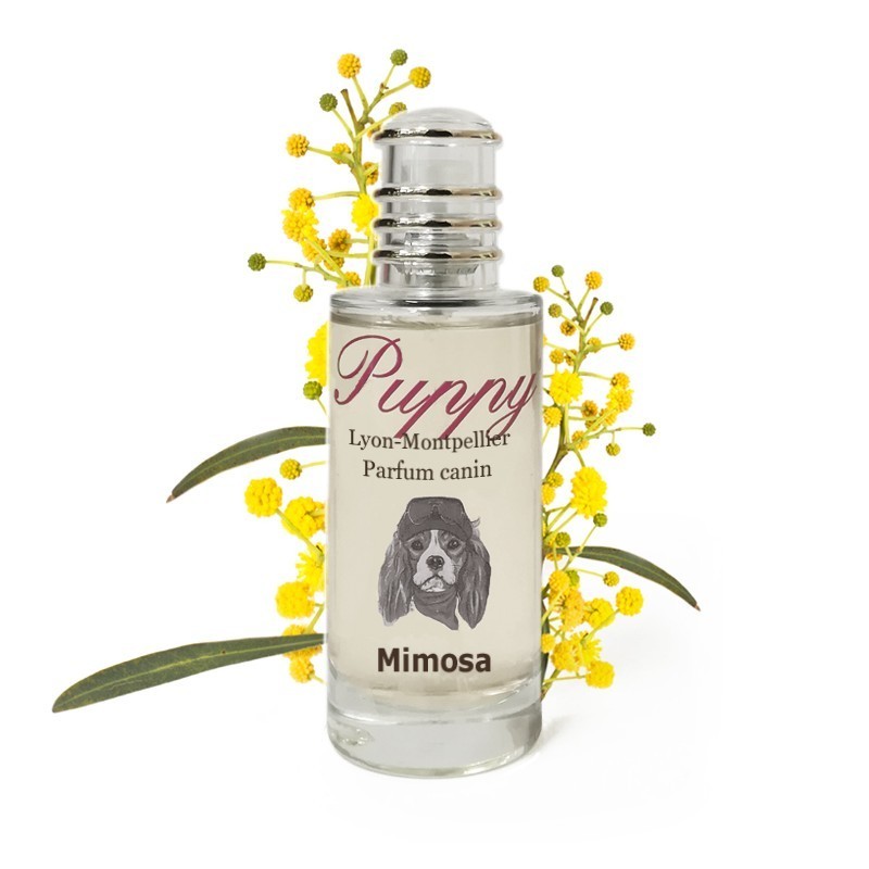 Puppy Mimosa Parfum pour chien La touche positive
