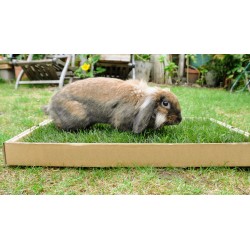 Toutou Prop' | Litière d'herbe fraîche et naturelle pour lapin