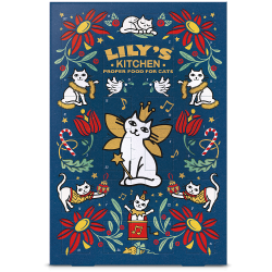 Calendrier de l'avent pour chat