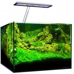 Micmol | Lampe Aqua CC 30W Plantes pour aquarium