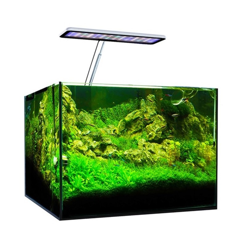 Micmol  Lampe Aqua CC 30W Plantes pour aquarium