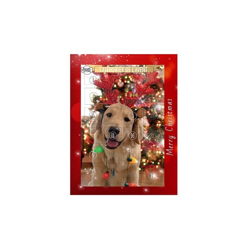 Doogy Calendrier de l