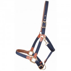 Licol pour chevaux ultra doux cuir et sangle TdeT Navy