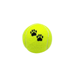 Balle de Tennis pour chiens