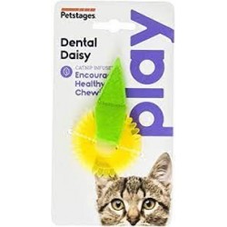 DENTAL DAISY