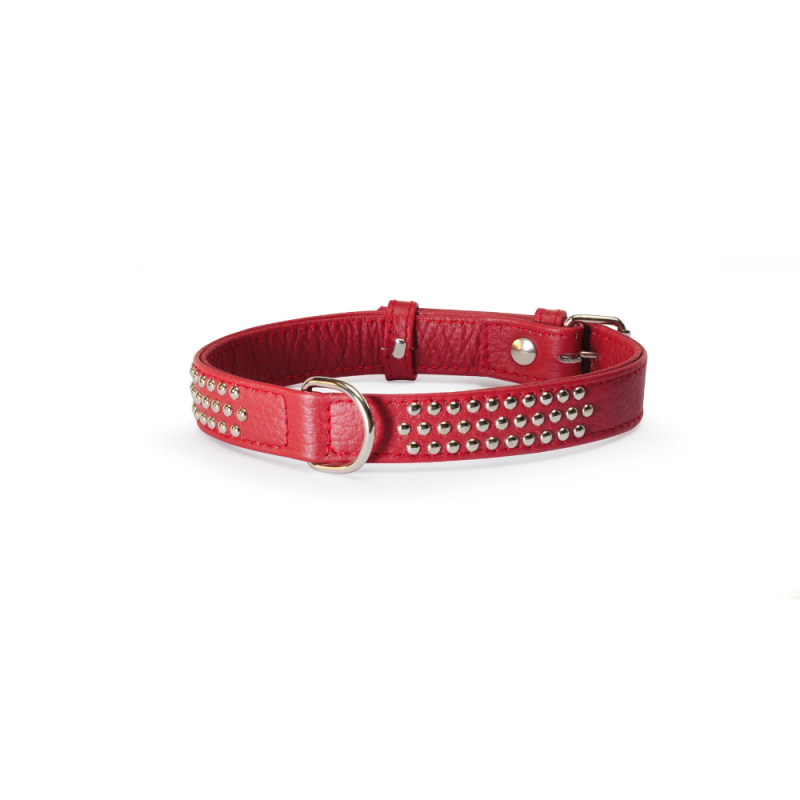 Camon Collier à Clous Rouge Pour chien