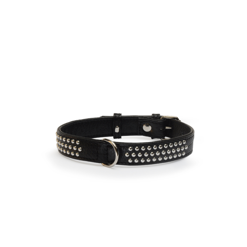 Camon Collier à Clous Noir Pour chien