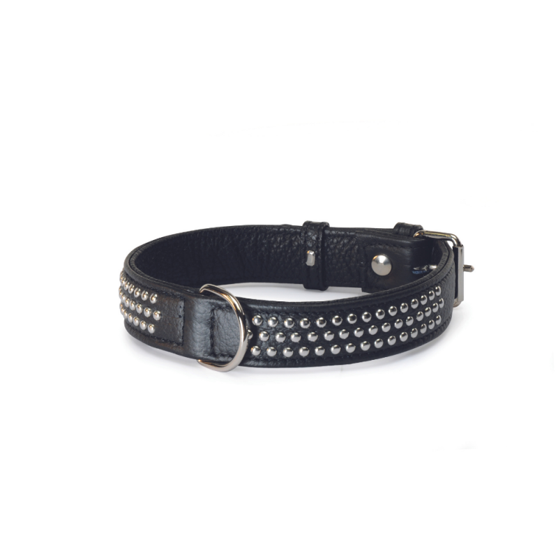 Camon Collier à Clous Noir Pour chien