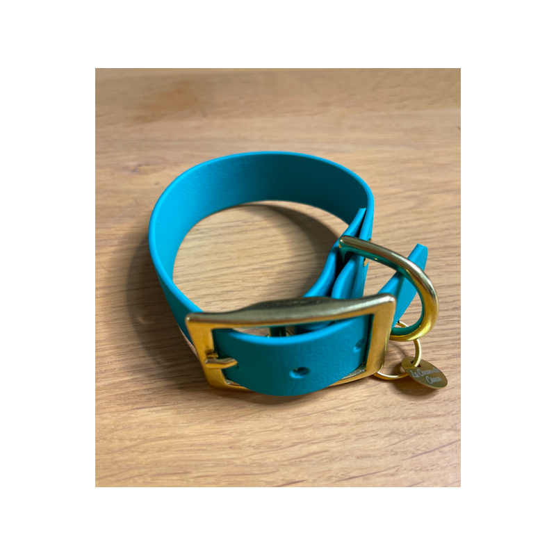 Le Cocon De César | Collier Funky Pour Chien Sangle Enduite | Bleu Vert  Pastel