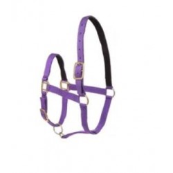 Licol nylon NORTON doublé cuir taille cheval