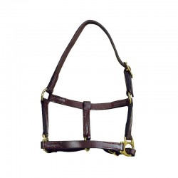 Licol foal NORTON en cuir