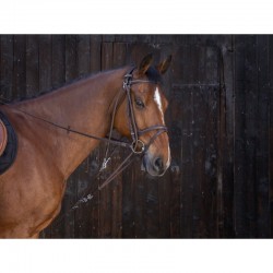 Gogue à poulies RIDING WORLD - Couleur : noir, Taille : poney