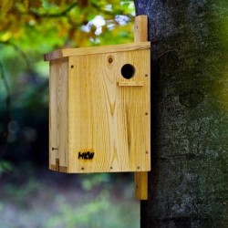 Maison pour écureuils en pin massif