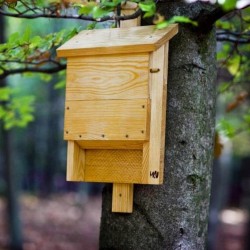 Nichoir à chauves-souris en pin massif