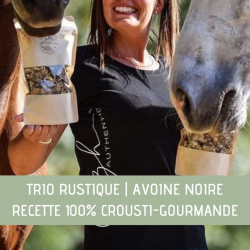 Bonbons Chevaux au 2 parfums - Récompense cheval originale