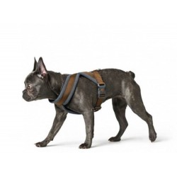 Harnais Ultra-confort London Comfort pour grands chiens HUNTER