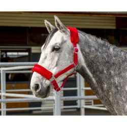 Licol NORTON "Mouton synthétique" rouge
