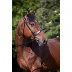 Bridon RIDING WORLD "Muserolle française"