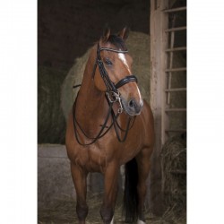 Rênes NORTON PRO 16 mm - Couleur : noir, Taille : cheval