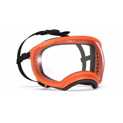 Lunettes de protection REX SPECS V2