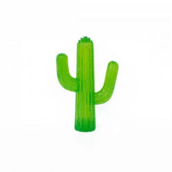 Jouet Cactus à Mâcher