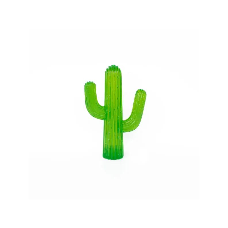 Jouet Cactus à Mâcher