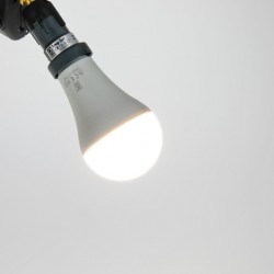 JBL Reptil LED Daylight 12W LED lumière du jour à spectre complet pour terrarium