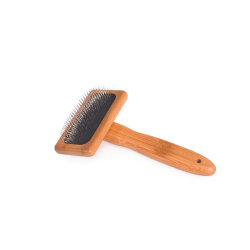 Brosse en Bambou