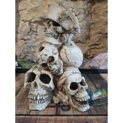 Montagne Human Skull 25x21x27,7cm