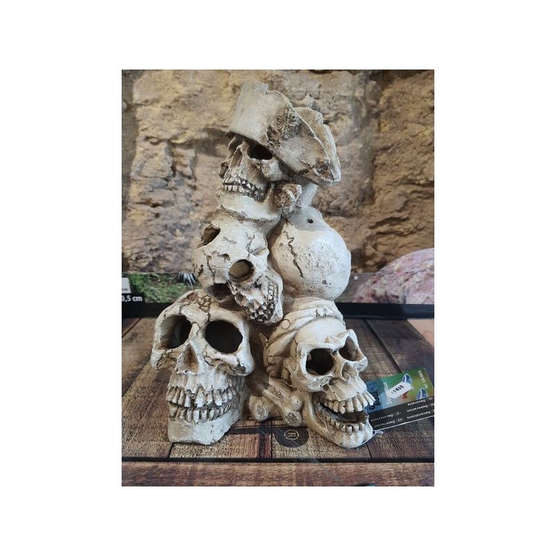 Montagne Human Skull 25x21x27,7cm