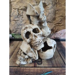 Montagne Human Skull 25x21x27,7cm