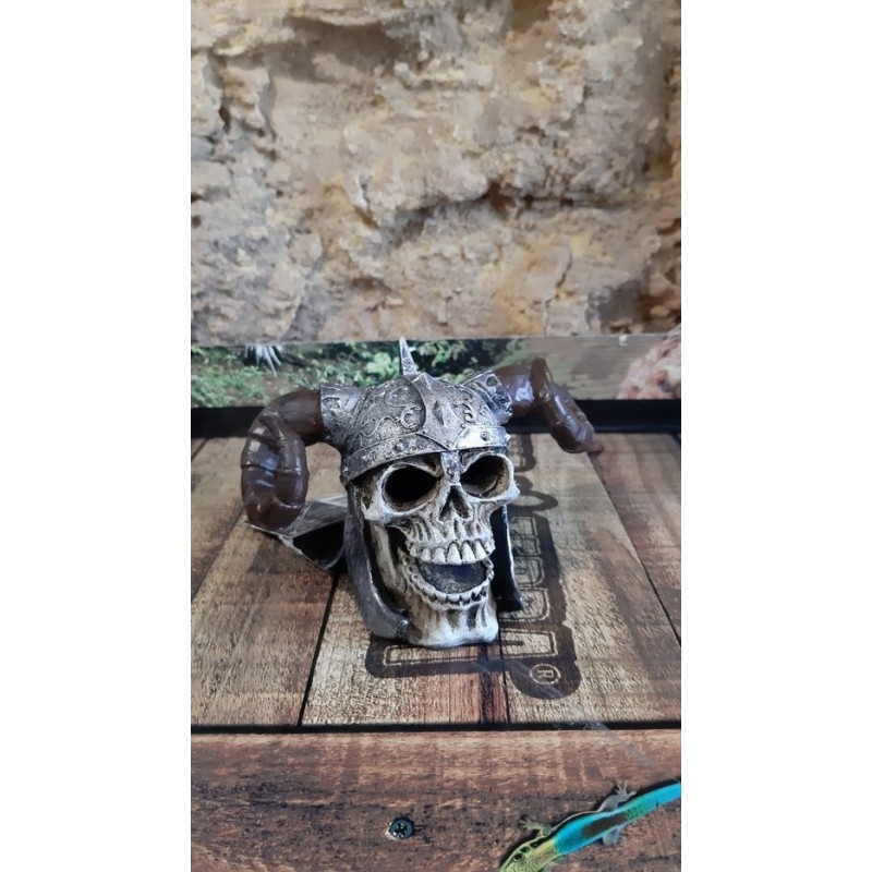Crâne Viking 16x11x11,5cm