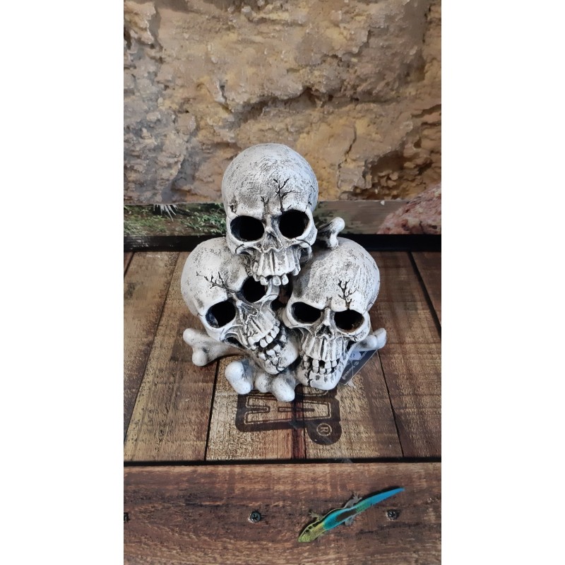 Triple Crâne  18x13x18cm