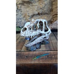 Gigan Terra | Socle Dinosaure | Pour aquarium