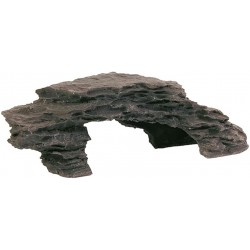 Plateau rocheux - 19 cm