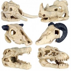 Crâne décoratif Trixie  8-11 cm