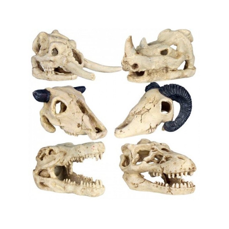 Crâne décoratif Trixie  8-11 cm