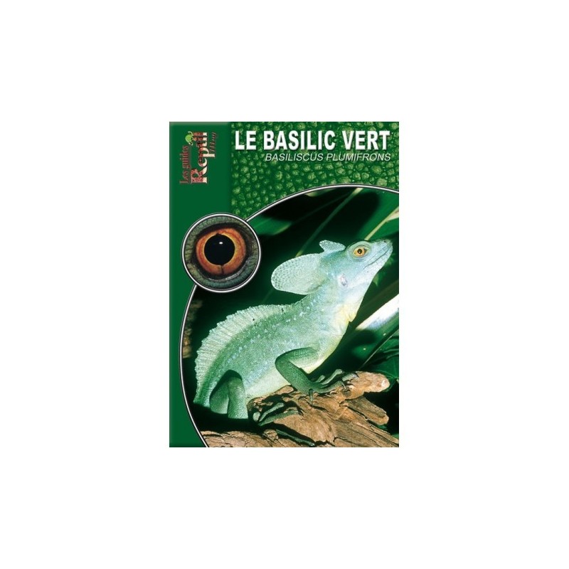 Le Basilic Vert - Basiliscus plumifrons
