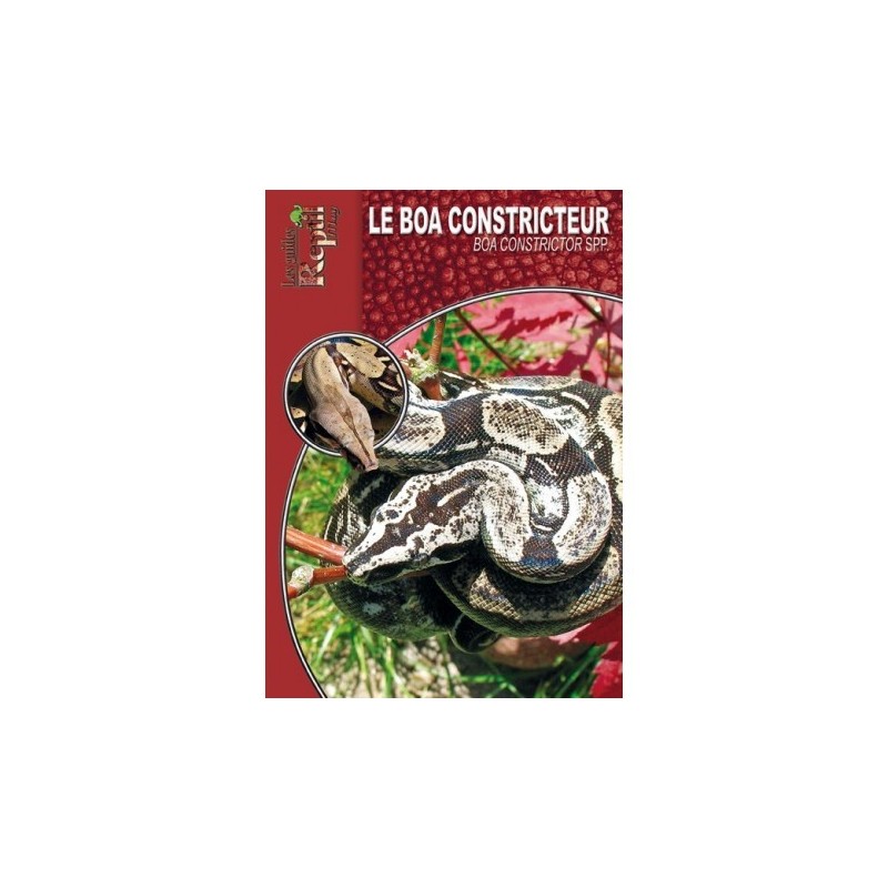 Le Boa Constricteur - Boa constrictor