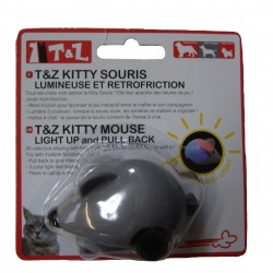 TopZoo | Chat | Jouet kitty souris grise led retro friction