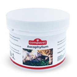 Chiens et Chats | Ascophyllum nodosum en poudre - Hygiène bucco-dentaire