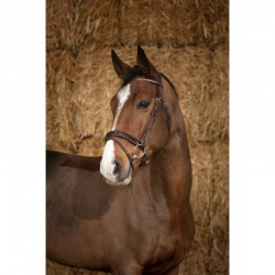 Bridon NORTON PRO "Glam"