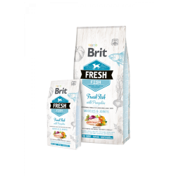 Brit Fresh Fish with Pumpkin Adult Large Muscles & Joints