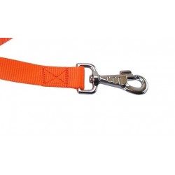 Laisse nylon orange - jokidog