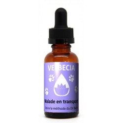 Velbecia - Fleurs de Bach 30ml Malade en Transport