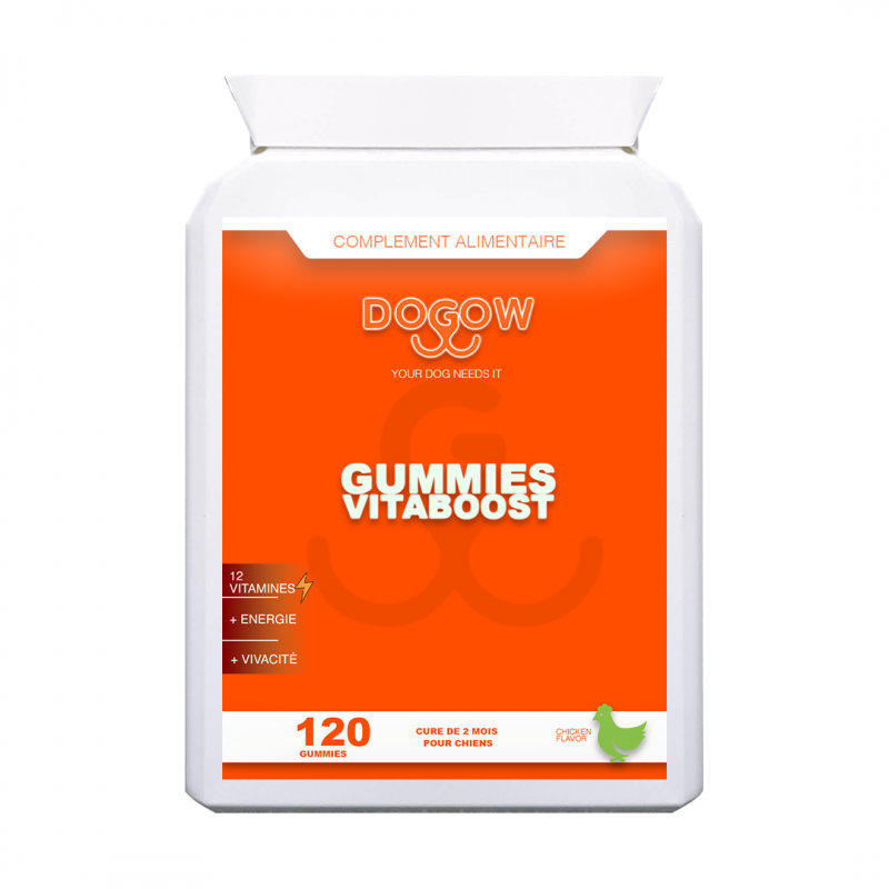 Dogow | Vitaboost 12 vitamines ⚡️| Complément Alimentaire