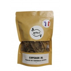 COPEAUX XL DE FEUILLE DE CATAPPA orgine france