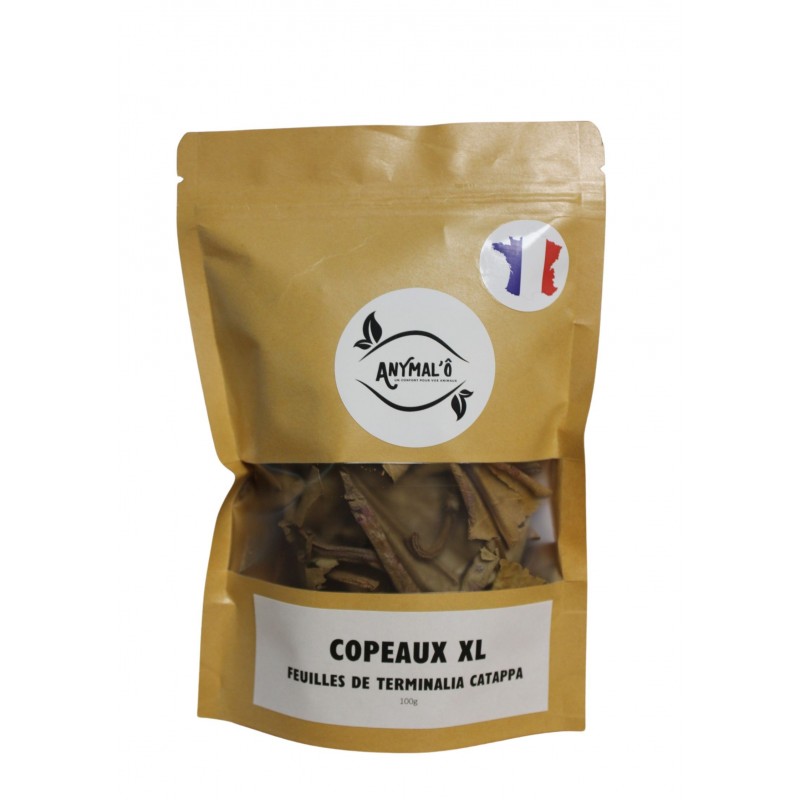 COPEAUX XL DE FEUILLE DE CATAPPA orgine france COPEAUX XL DE FEUILLE DE CATAPPA orgine france